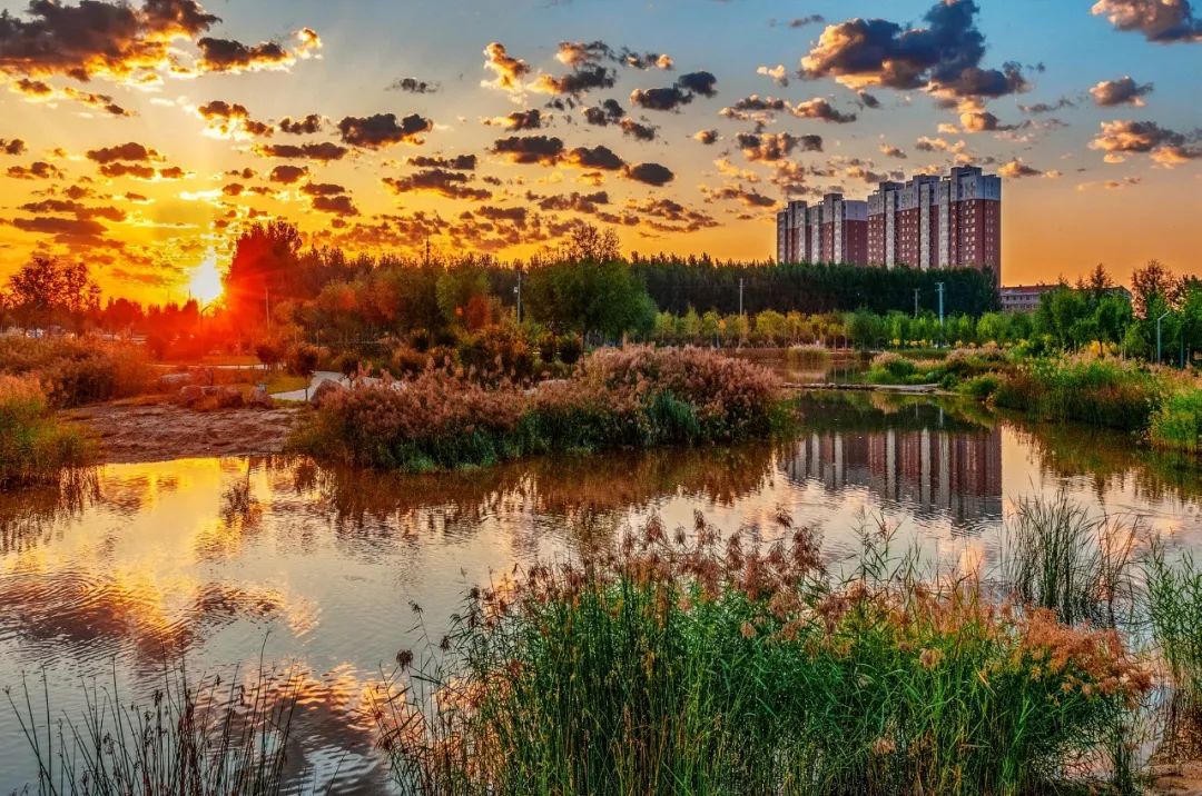 厉害!辛集飘着6朵云