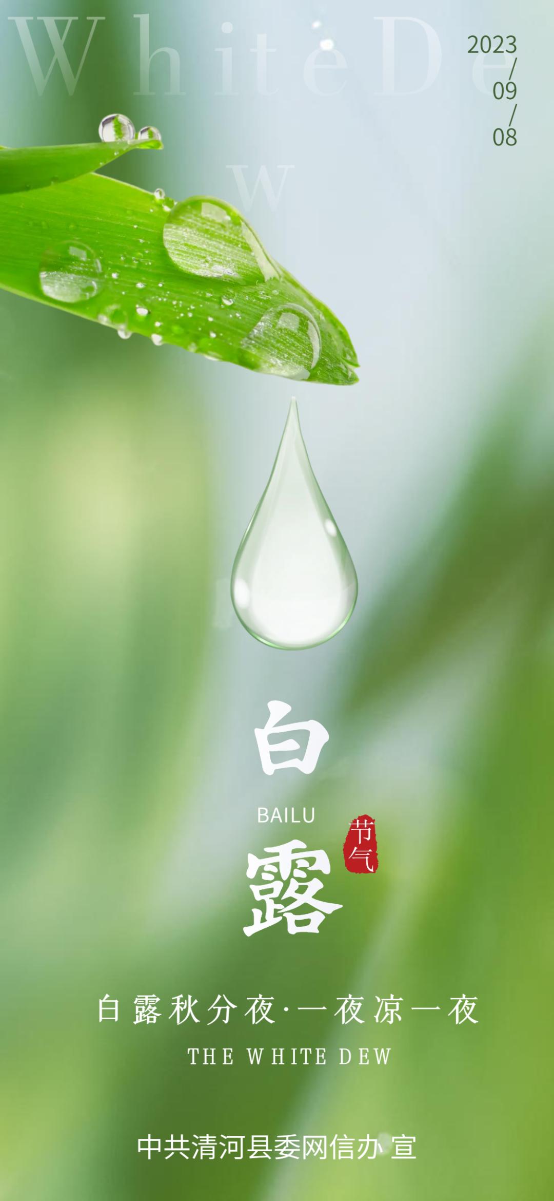 【网评精品】海报 | 二十四节气之白露