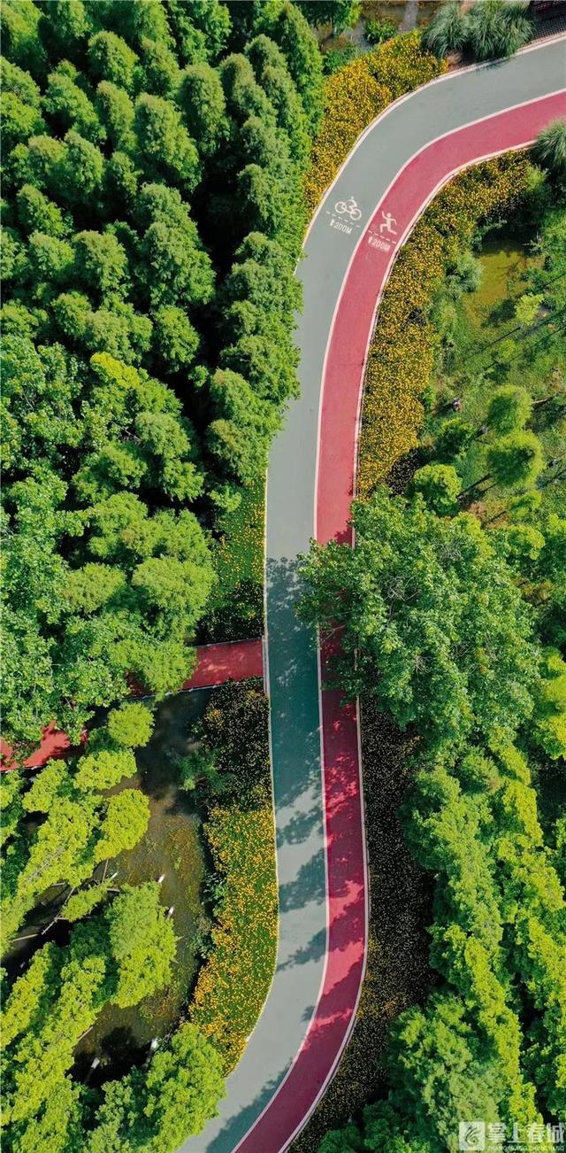 滇池绿道:连起美景 串起幸福