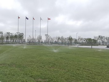 市奥体中心项目景观绿化工程基本完工