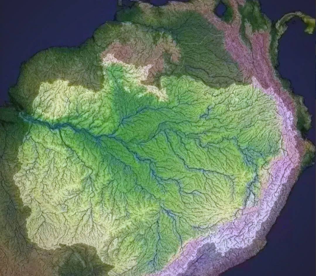 探秘巴西亚马孙平原的丰富热带雨林生态