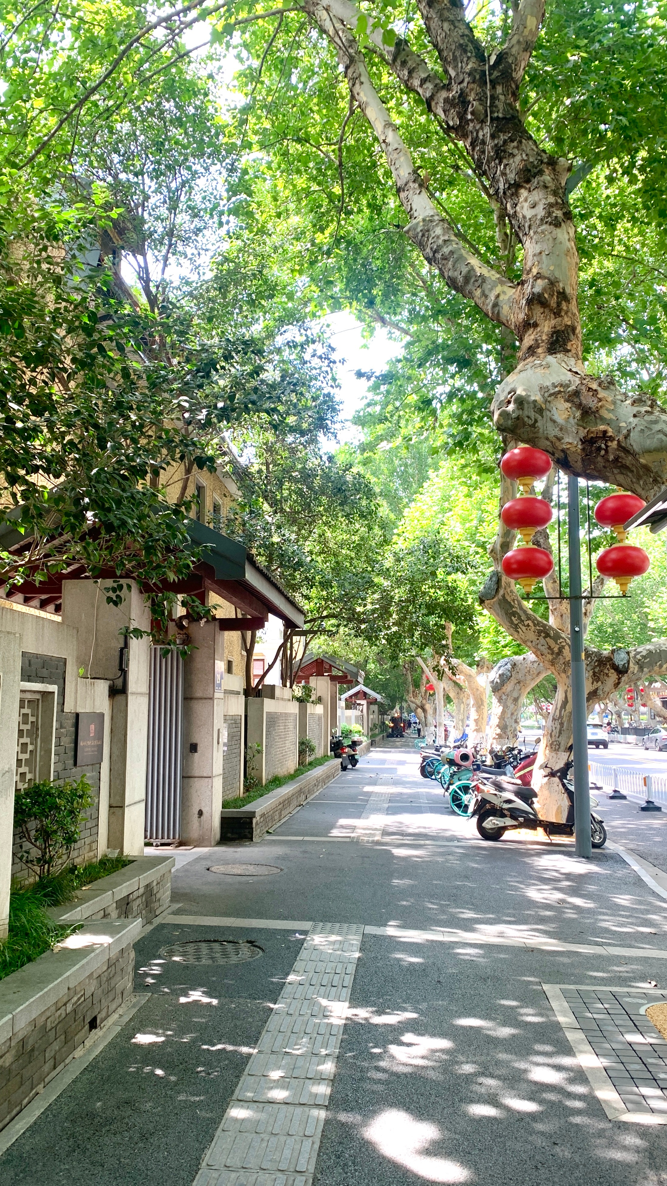 一条颐和路 半部民国史 南京·颐和路