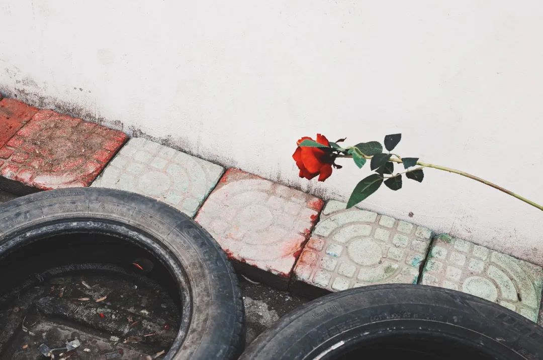 voyage │ 逝川与流光,飘忽不相待