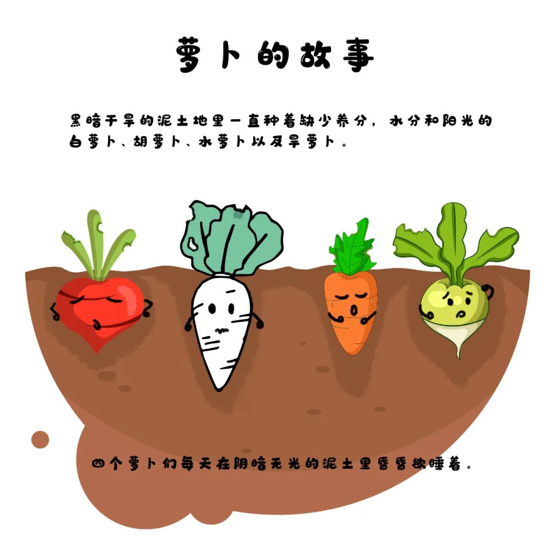 萝卜们的故事