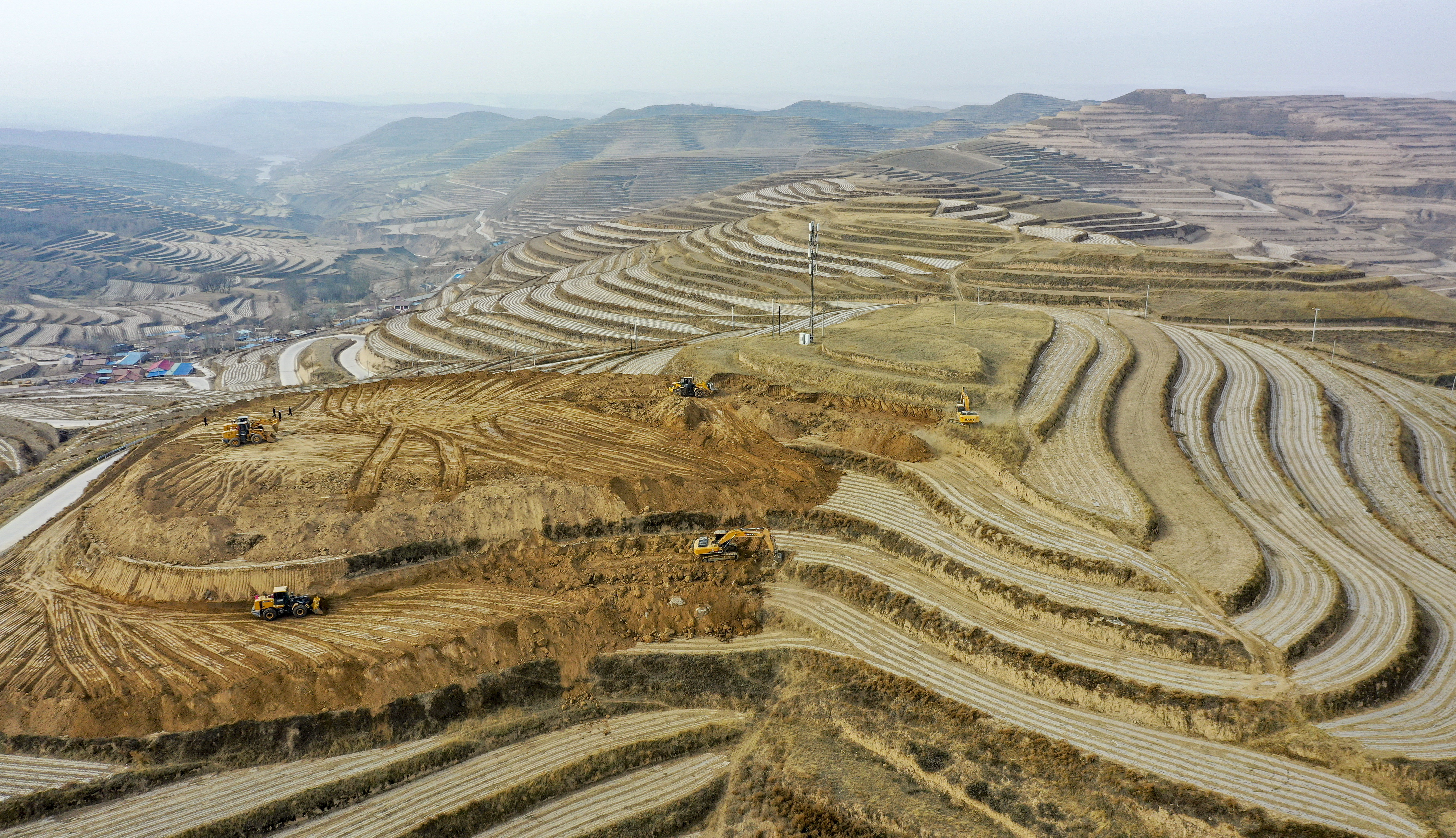 黄河生态草坪基地图片