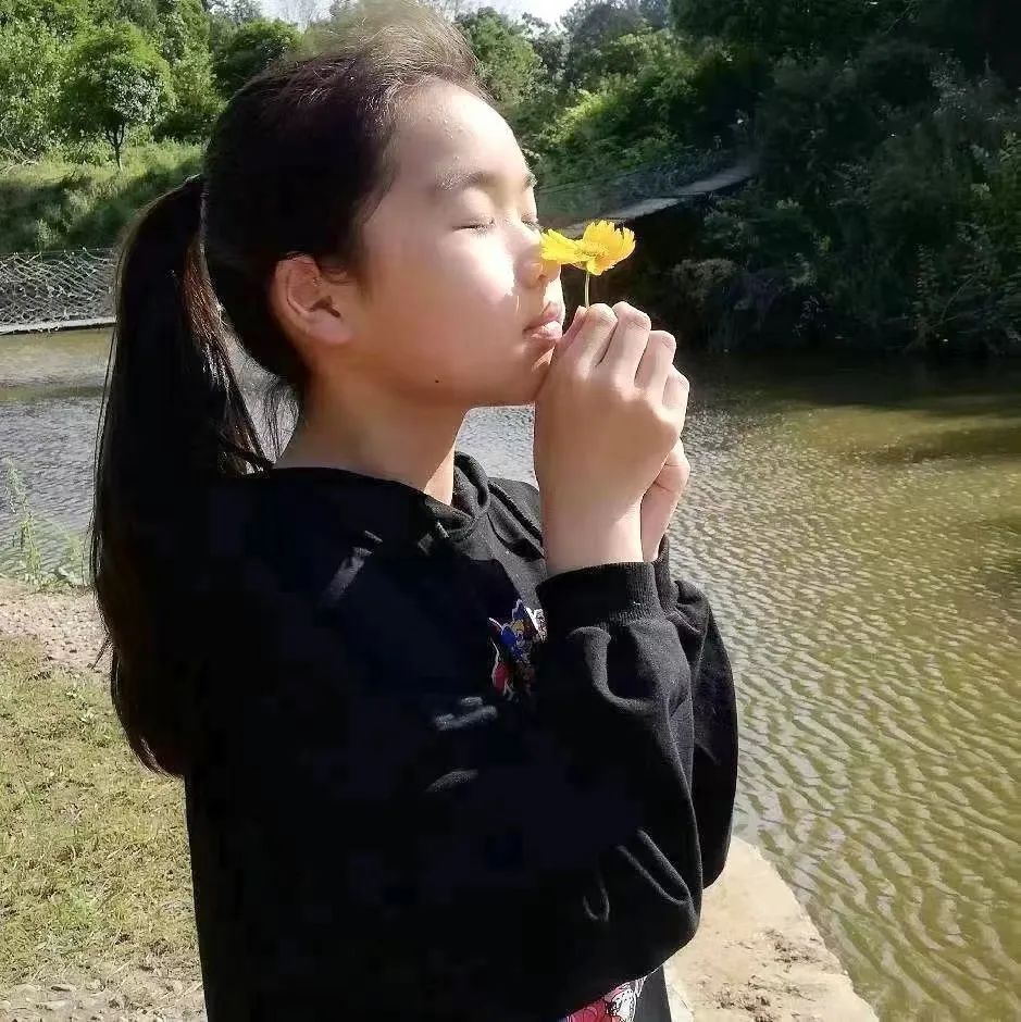 信阳市第一实验小学最美教师杨丹