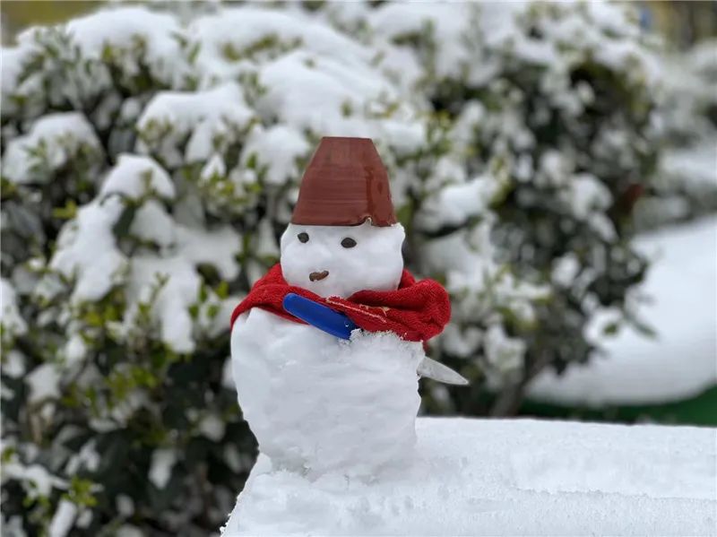 朋友圈堆雪人大赛开始 丘北县文旅局雪墩墩颜值最高