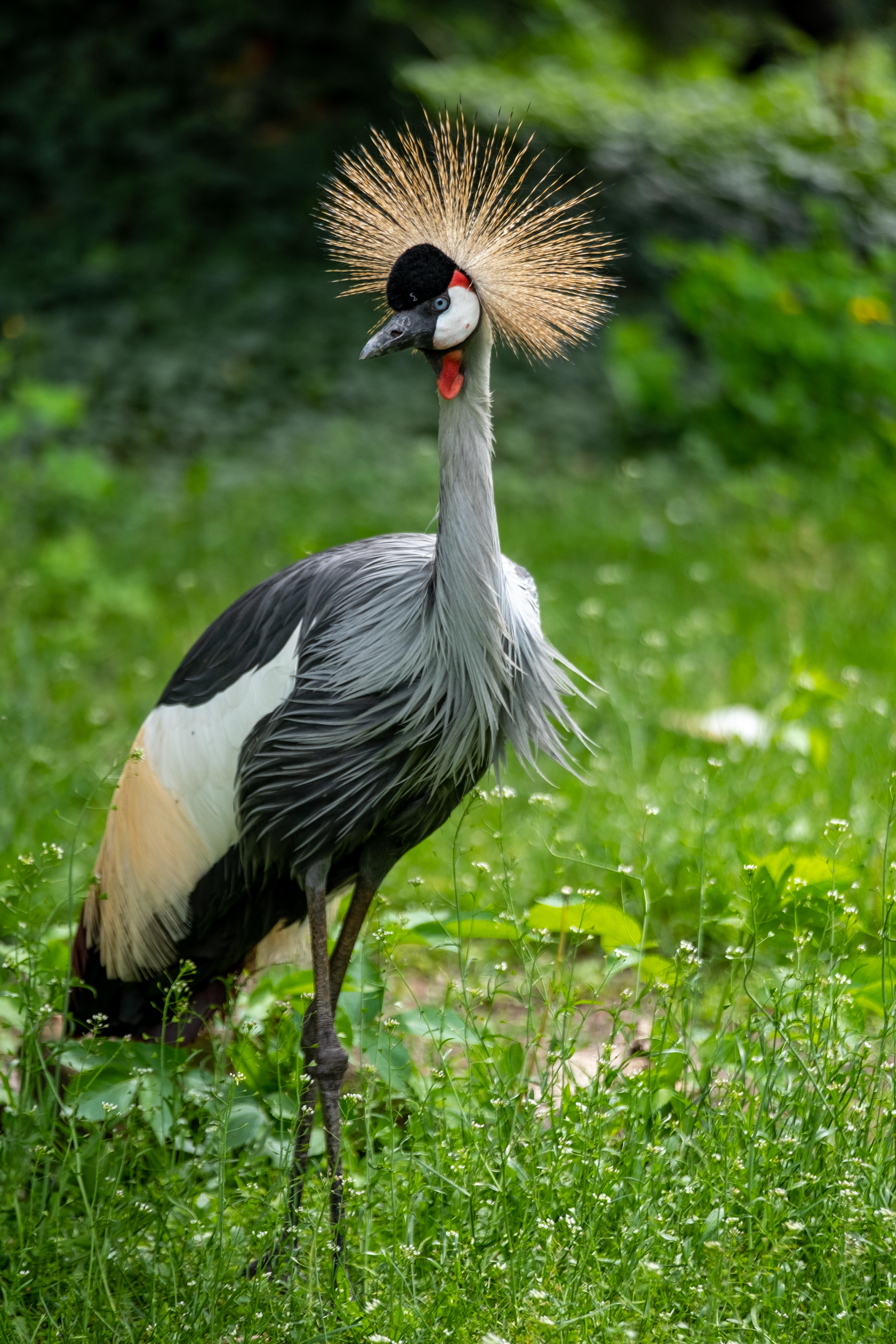 波兰华沙动物园重新开放