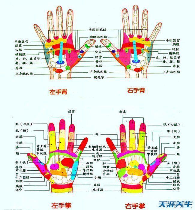 从手掌看肝健康图图片