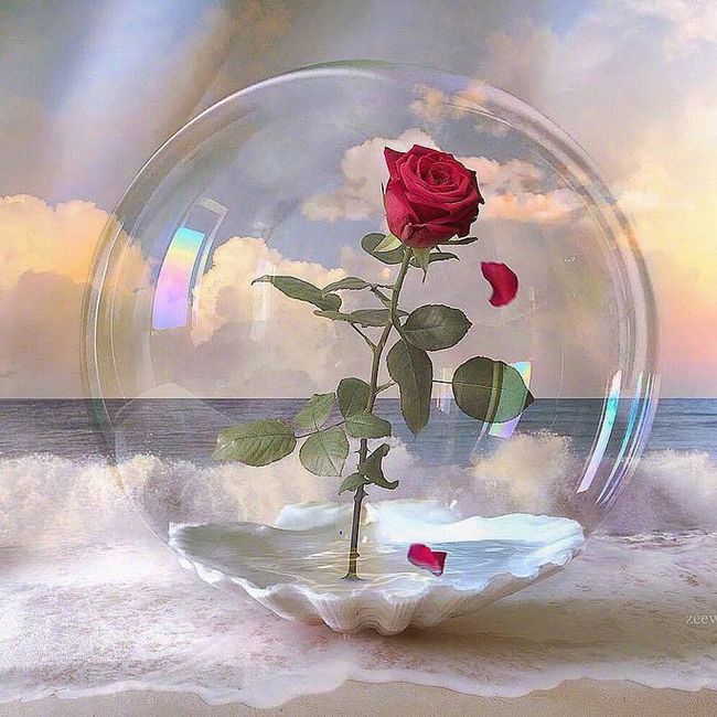 你惊艳不了谁的人生,但可以温柔自己的岁月