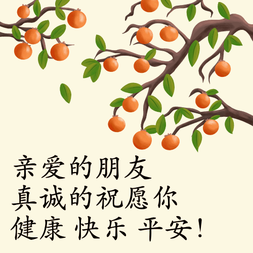 500_500gif 动态图 动图