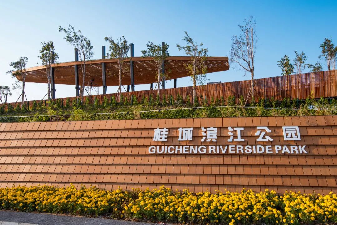 佛山龙舟飘移,展示全国最威水的"龙抬头"!