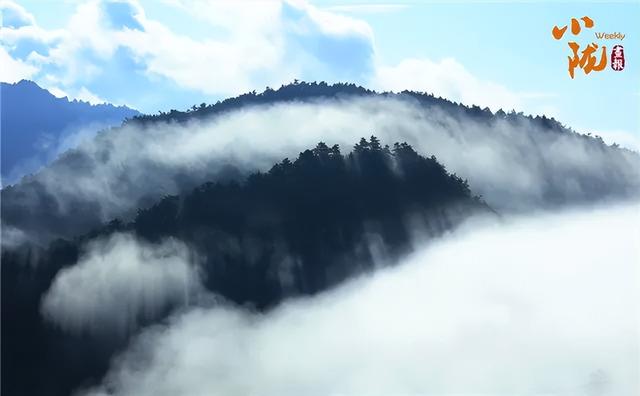 康县云海图片