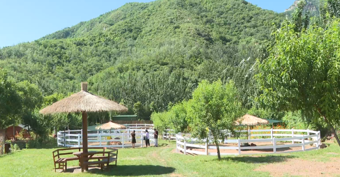 石家庄市唯一常河常馨谷入选五星级休闲农业园