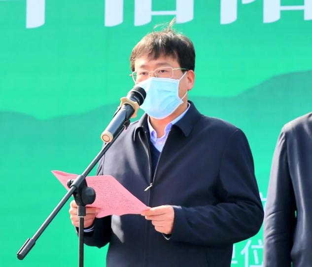 今天!2022年信阳毛尖茶正式开采