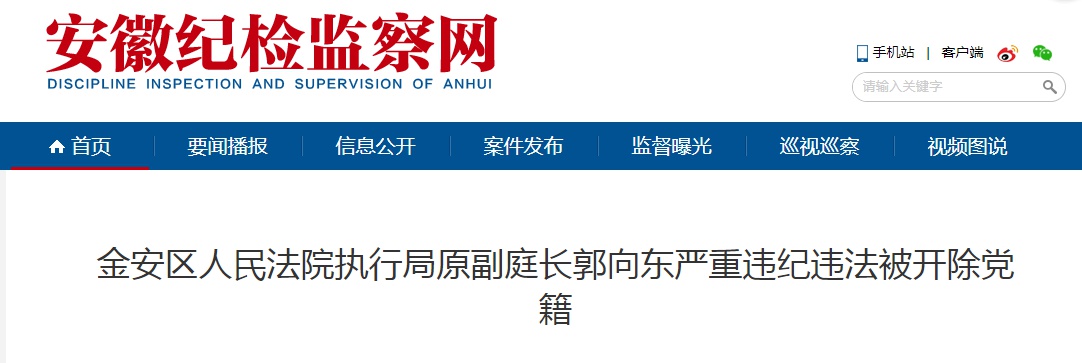 六安市金安区人民法院执行局原副庭长郭向东被开除党籍