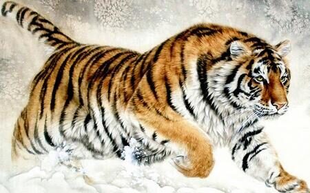 虎年虎虎生威之龙行虎步