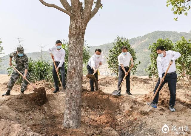 栽种春之绿意共建绿色泉州市四套班子领导参加义务植树活动