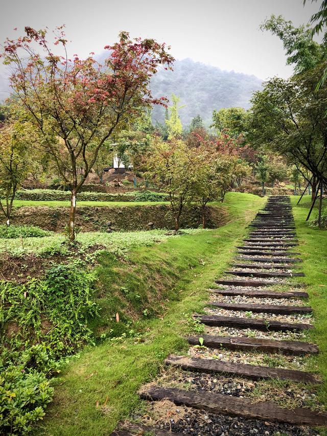 峨山大坪值得去的地方