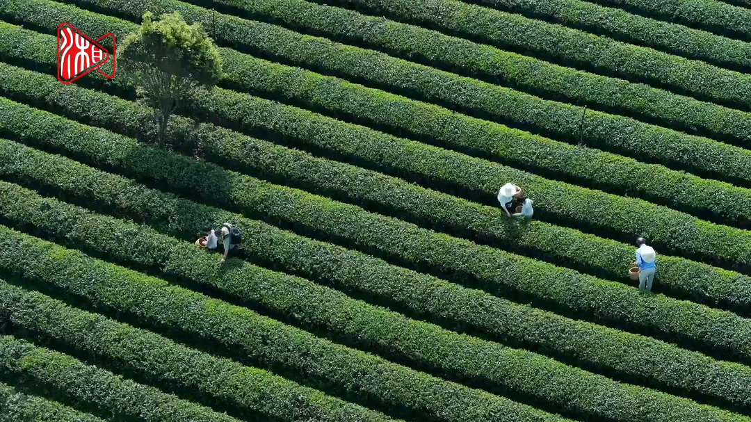 望城乌山图片