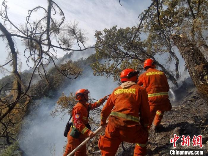 四川九龙县森林火灾:过火面积约183亩 扑救仍在进行