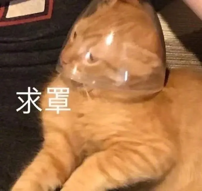 热门表情包大合集丨想吃小孩