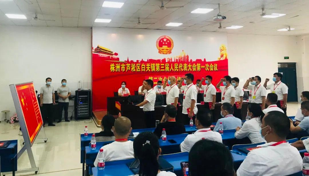 「换届选举」芦淞区镇人大换届选举工作圆满完成