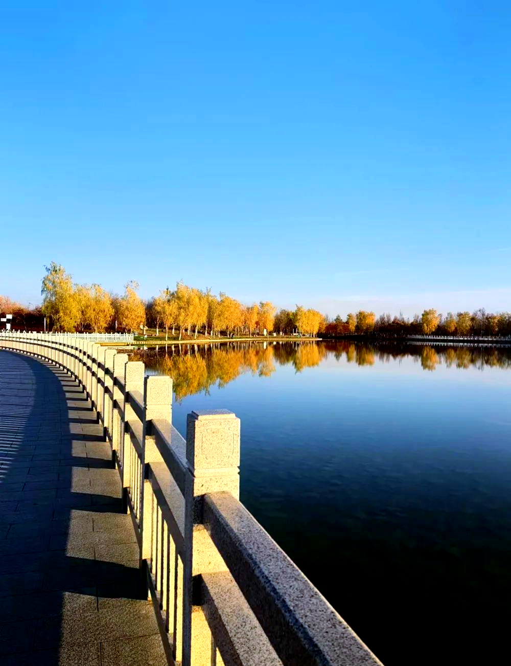 第四师可克达拉市,坐落于新疆伊犁哈萨克自治州,这片被誉为"塞外江南"