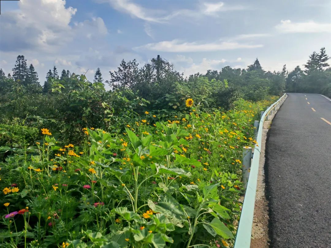 和美城乡 四大行动丨天柱县石洞镇:文明实践打造和美幸福石洞