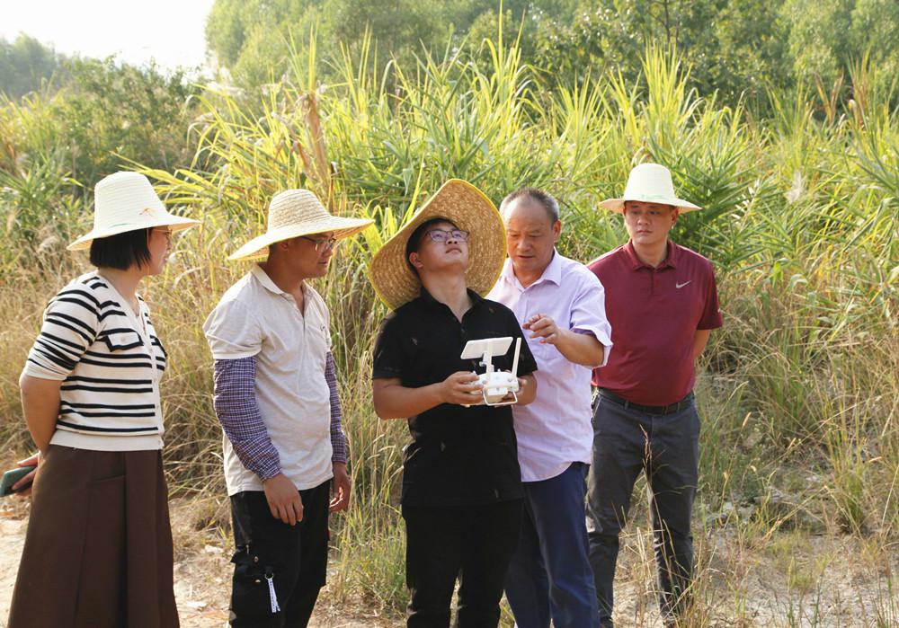 大桂山林场首次组织开展全场营林技术人员考核