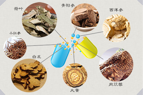 中医养生学课程设置(中医养生学的课程设置)