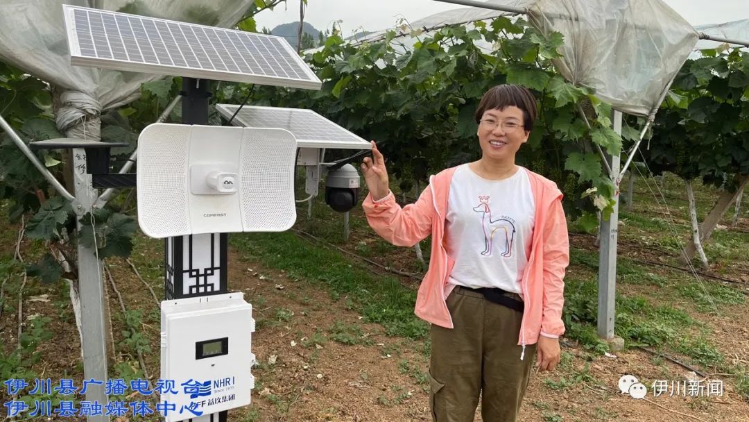 伊川酒后:乡贤返乡创业结硕果