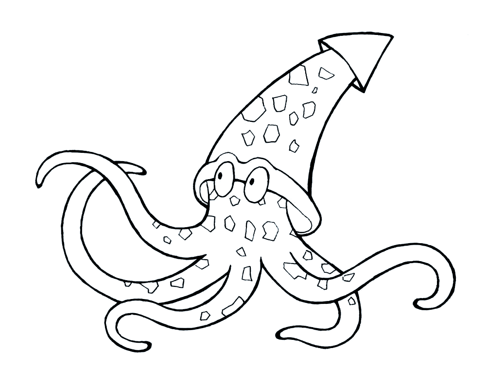 乌贼触腕与腕的独特结构及其生存挑战