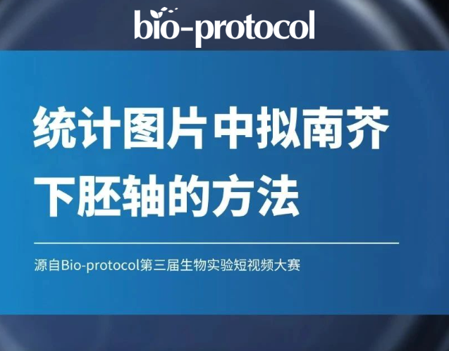 統計圖片中擬南芥下胚軸的方法