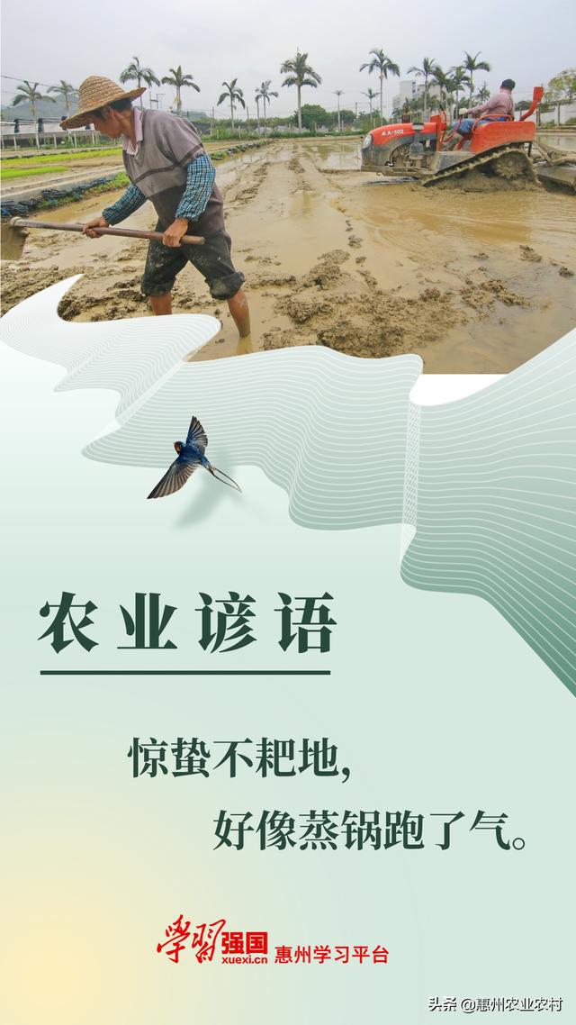 农业谚语:惊蛰不耙地,好像蒸锅跑了气