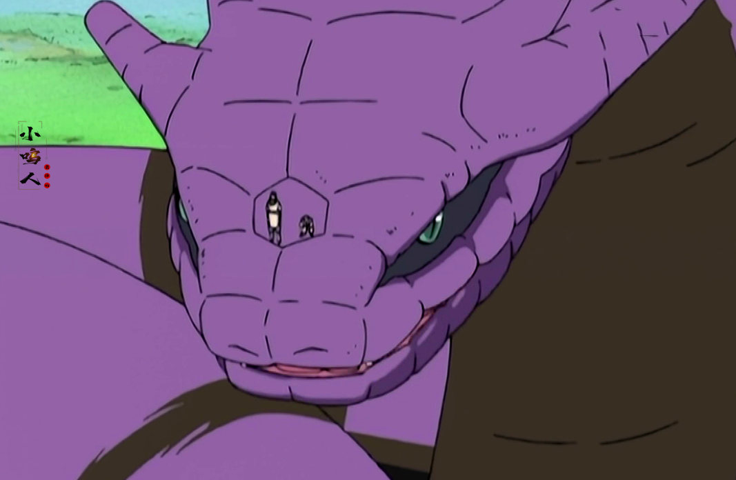 一个细节彰显出纲手的"影级"实力,伊比喜:上忍无法做到这一点