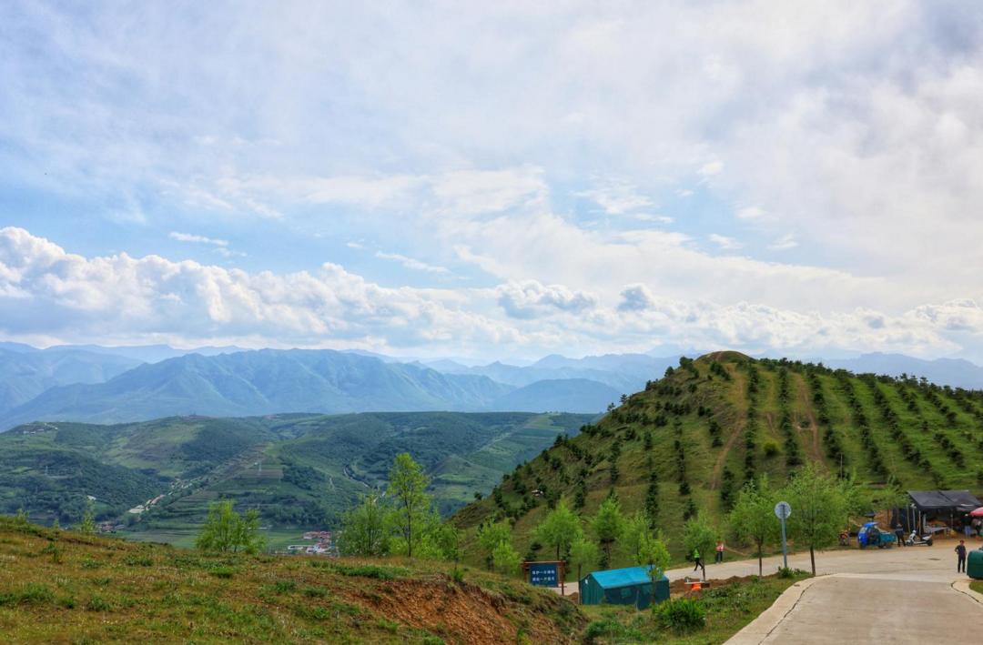 临夏州广河县官坊:赛马会上的"速度与激情"
