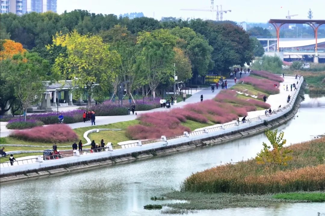 德阳旌湖绿道图片