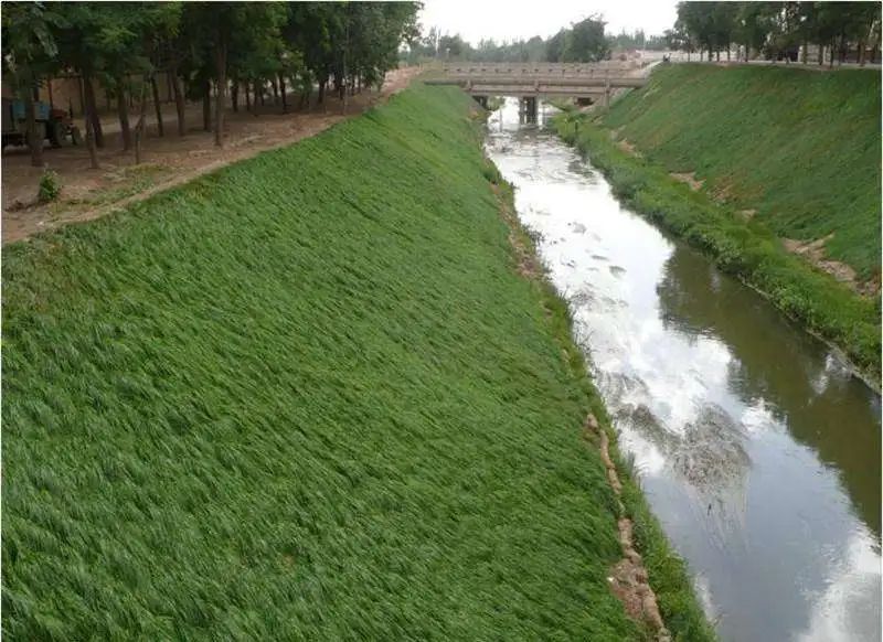 水土保持生态毯——边坡防护材料