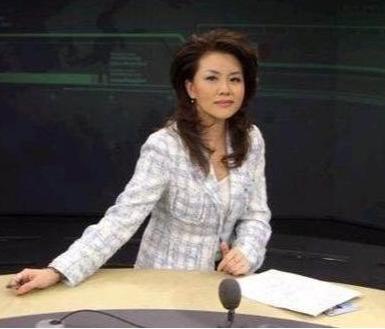 央视主持人间谍案判刑了吗?的简单介绍