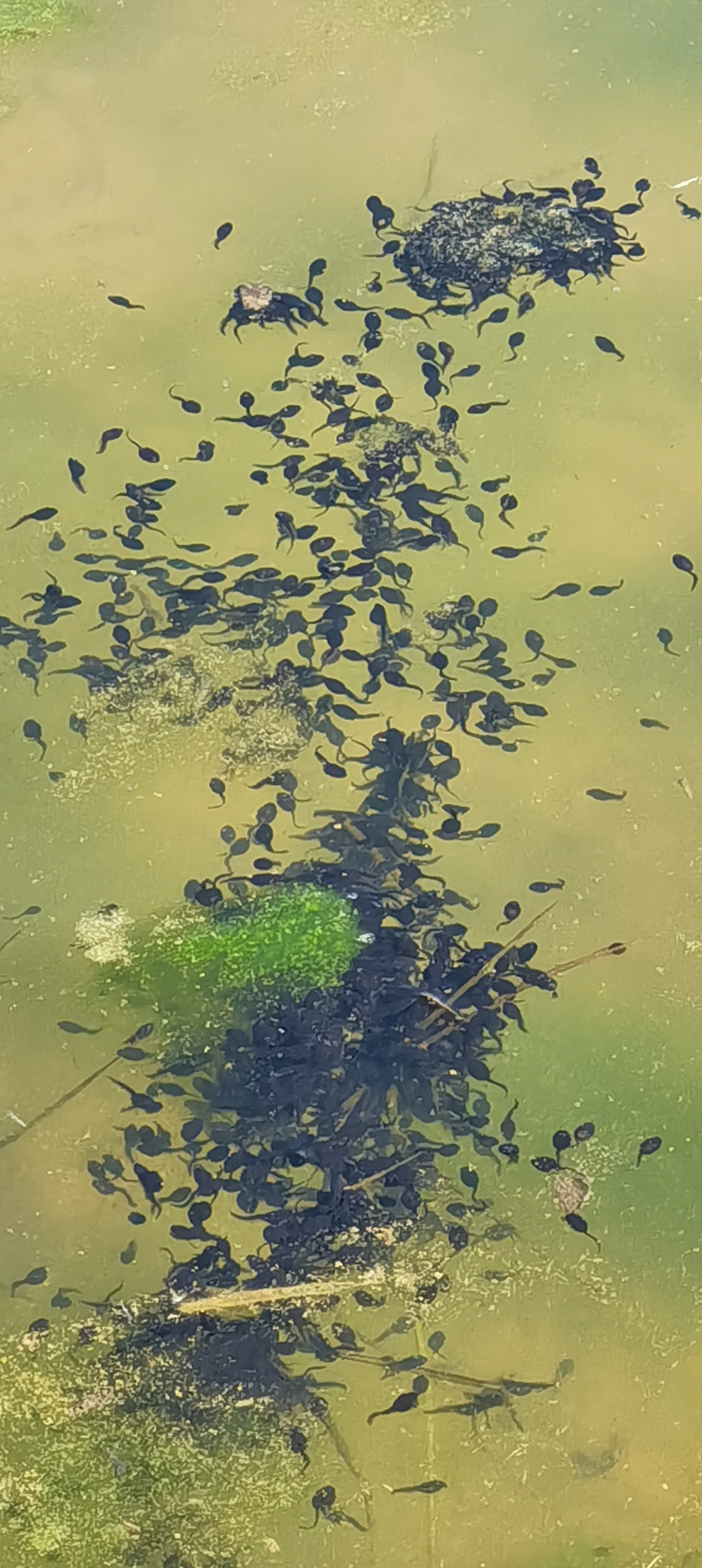 敬畏伟大而蓬勃的生命