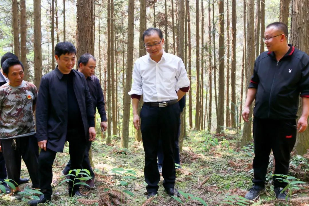 袁尚勇到排调镇调研指导巩固拓展脱贫攻坚成果同乡村振兴有效衔接和