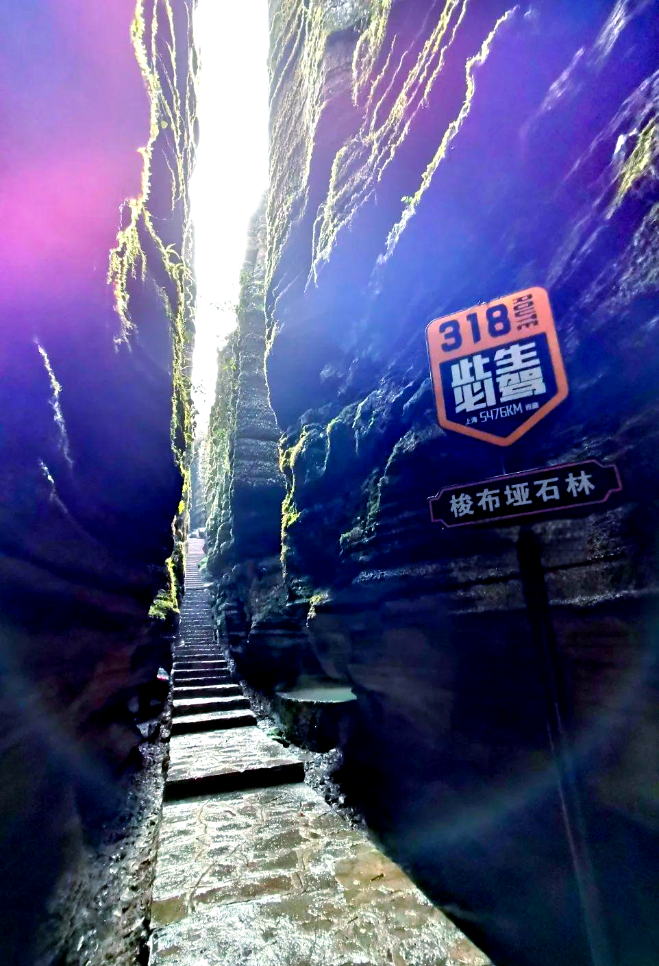 探秘世界硒都恩施:从硒资源到硒产业的转型之旅