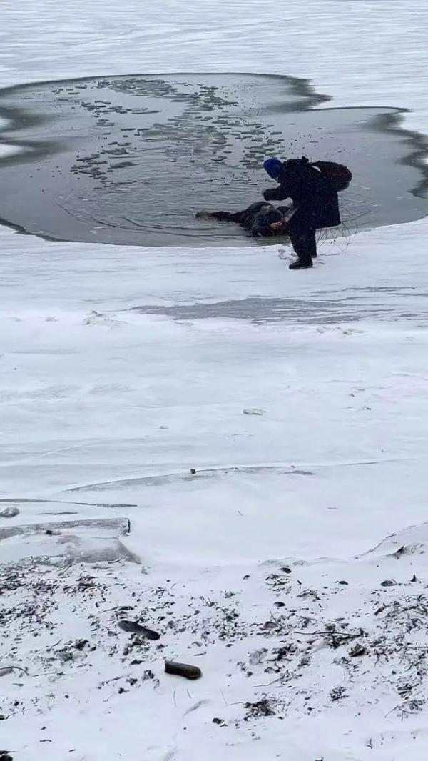 女子不慎掉进冰窟窿,在冰水中挣扎!危急时刻