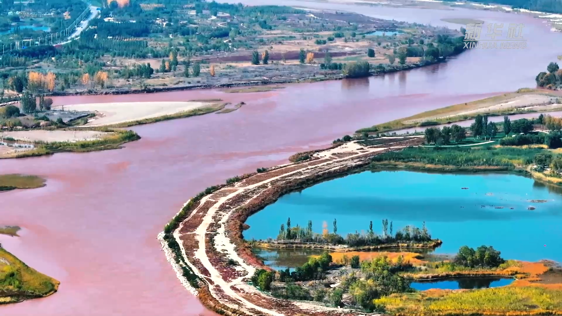 宁夏中卫:黄河畔 秋意浓