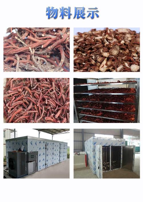 大型丹参烘干机 网带式丹参专用烘干设备