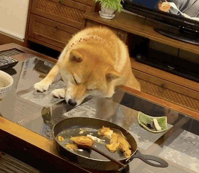 638_556gif 动态图 动图