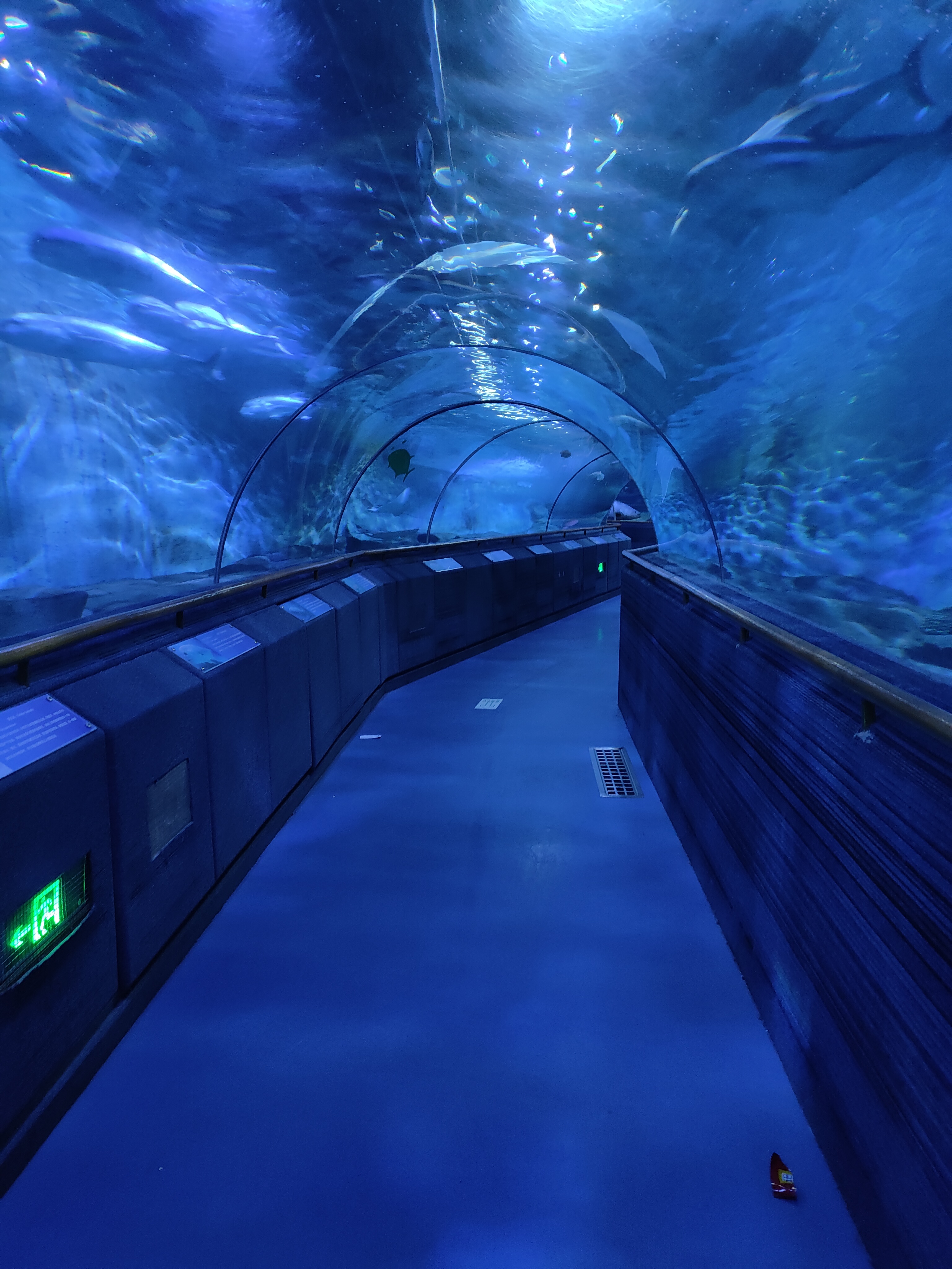 厦门鼓浪屿海底世界二