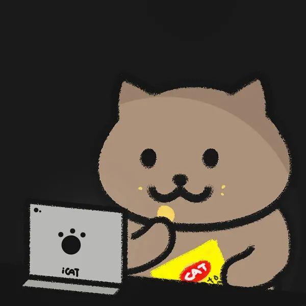 今日头像|有个很可爱的人