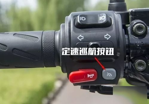 电动车巡航什么意思?